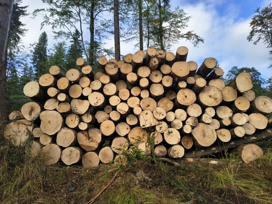 Drewno opałowe świerk