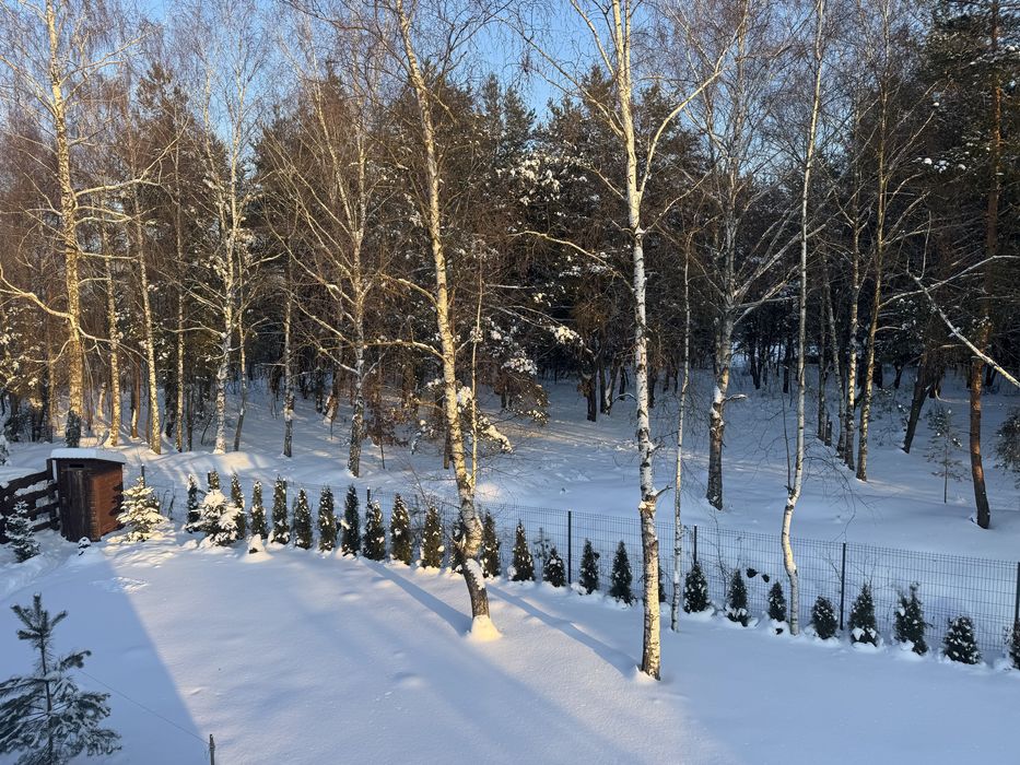 Будинок біля лісу