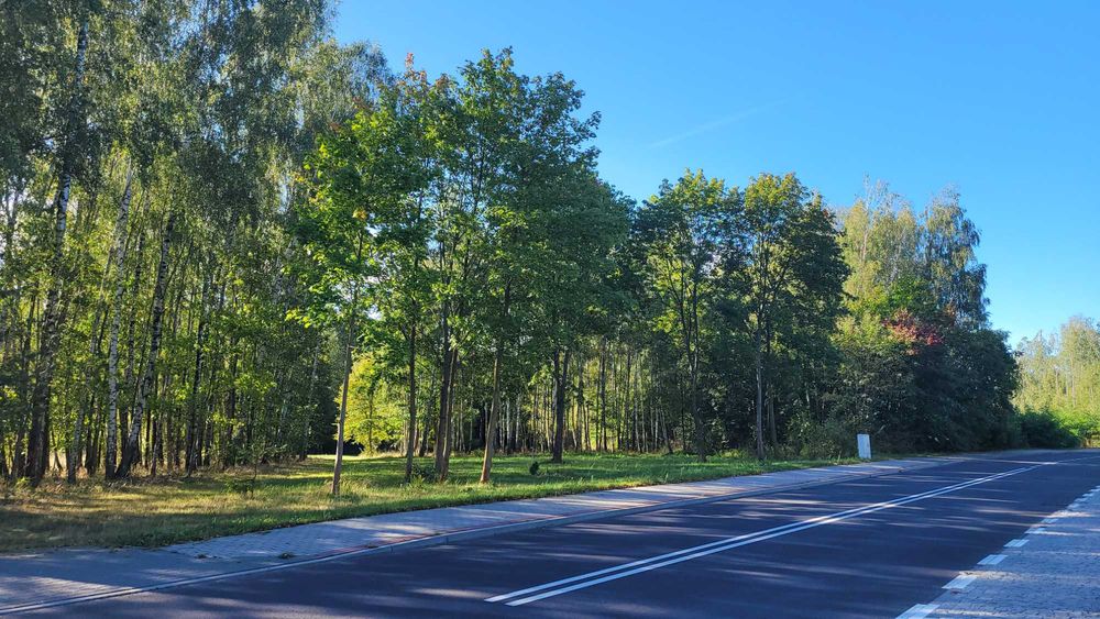 Puszcza Mariańska, fantastyczna działka budowlana (domek, usługi)