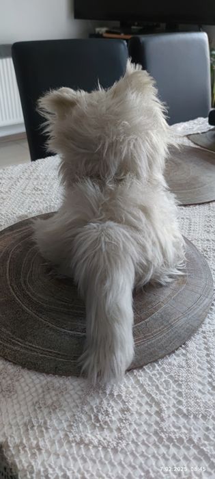 Pluszowy kot z okresu PRL