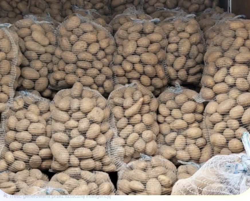 Ziemniak jadalny Soraja