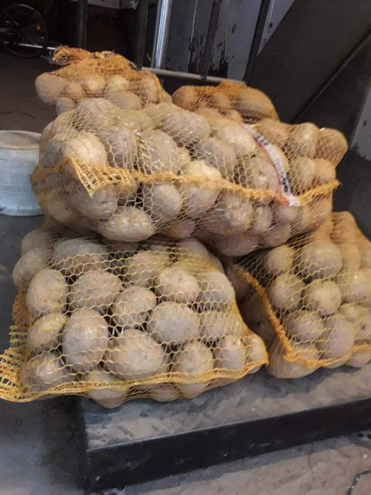 Sprzedam ziemniaki Lilly