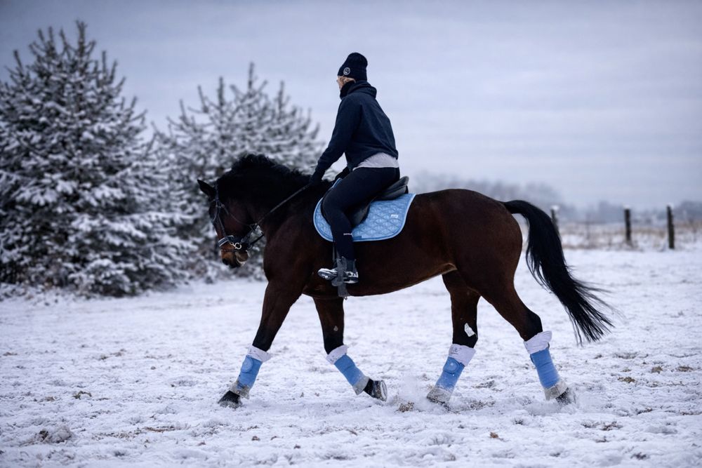 Klacz Holsztyńska- Unlimited x Pandora