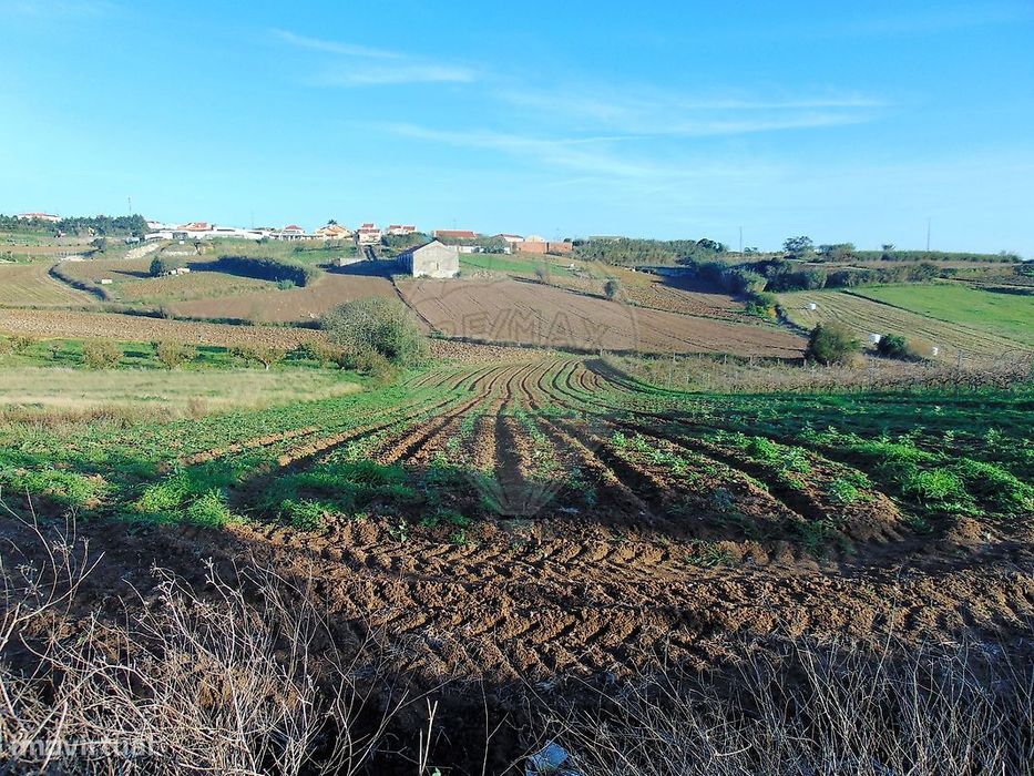 Terreno  para venda