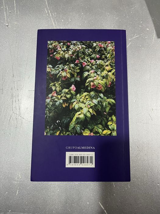 Escravidão Dignidade Trabalho