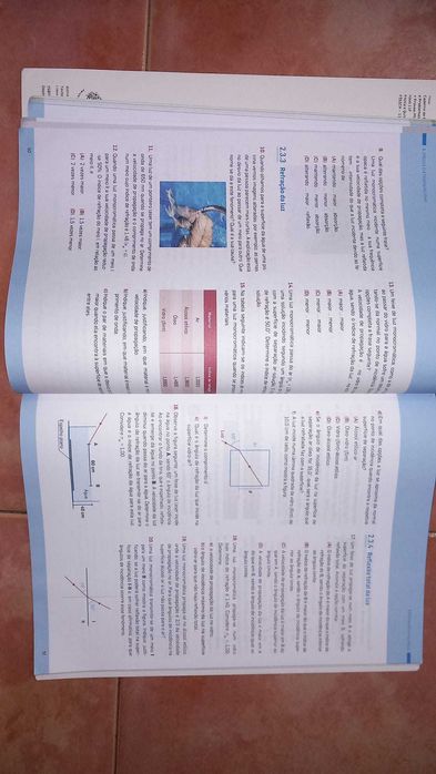 Manual de Física 11°ano