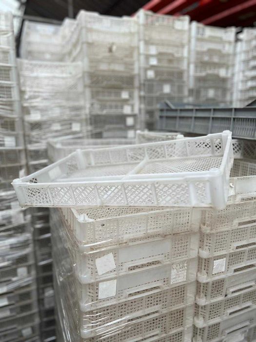 Skrzynki do borówki