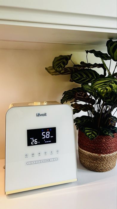Humidificador de ar / plantas