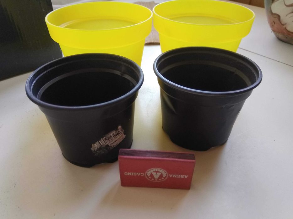 горшок для цветов с желтым кашпо поддоном комплект