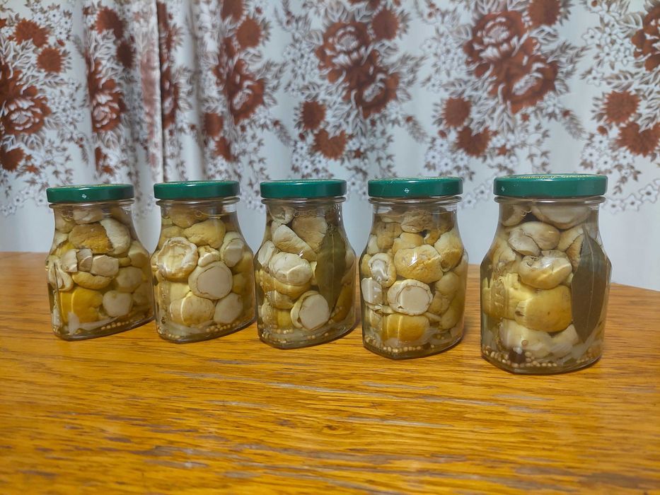 Borowik Prawdziwek Biały Marynowany 5 szt. 2025r