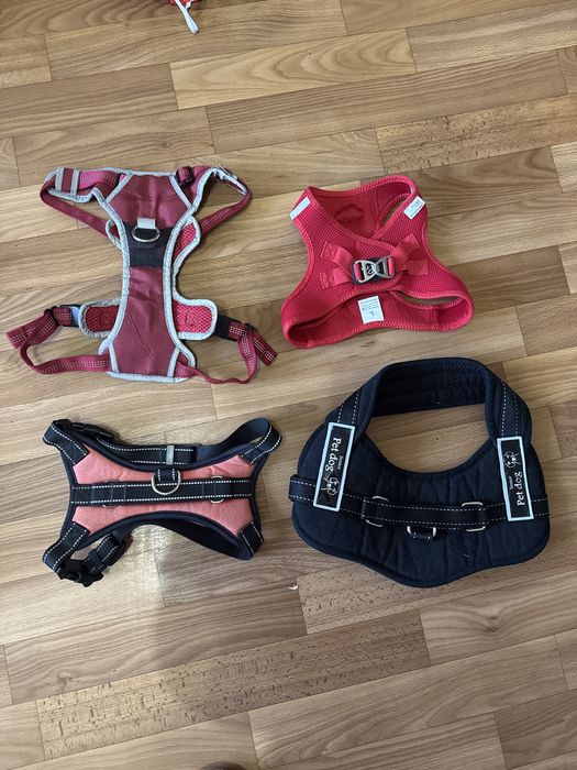 Одяг  на собак  шлеі.