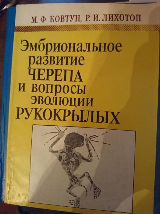 Этнические стереотипы поведения