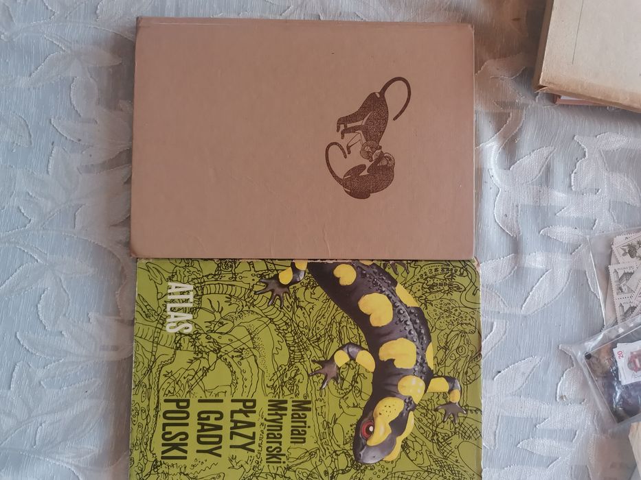 Młynarska płazy i gady Polski. Woliński małpy i małpiatki.