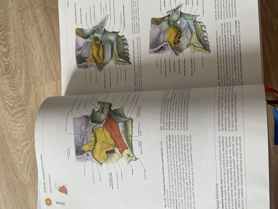 atlasy anatomiczne sobotta mianownictwo angielskie; tom 1, 2 i 3