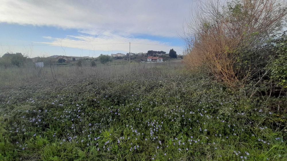 vende-se 2 terrenos em Mealhada ( um urbano outro rustico)