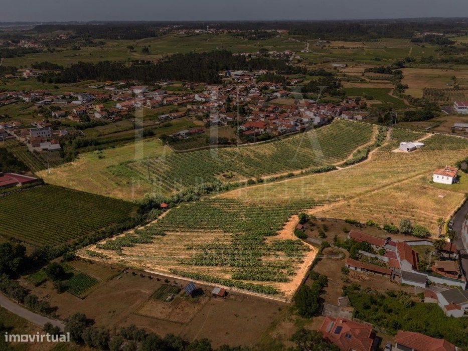 Quinta com Ruína | São Lourenço do Bairro, Anadia