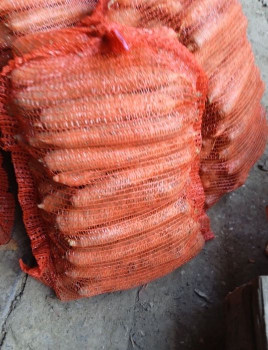 Marchew 20 kilo bardzo smaczna soczysta od rolnik wysyłka inpost