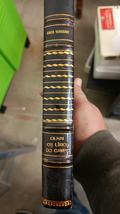 Portes grátis Livro "Olhai os lírios no campo"