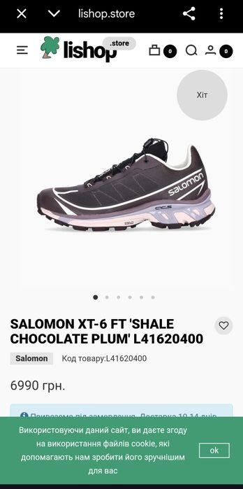 Оригінальні Кросівки SALOMON XT-6 FT