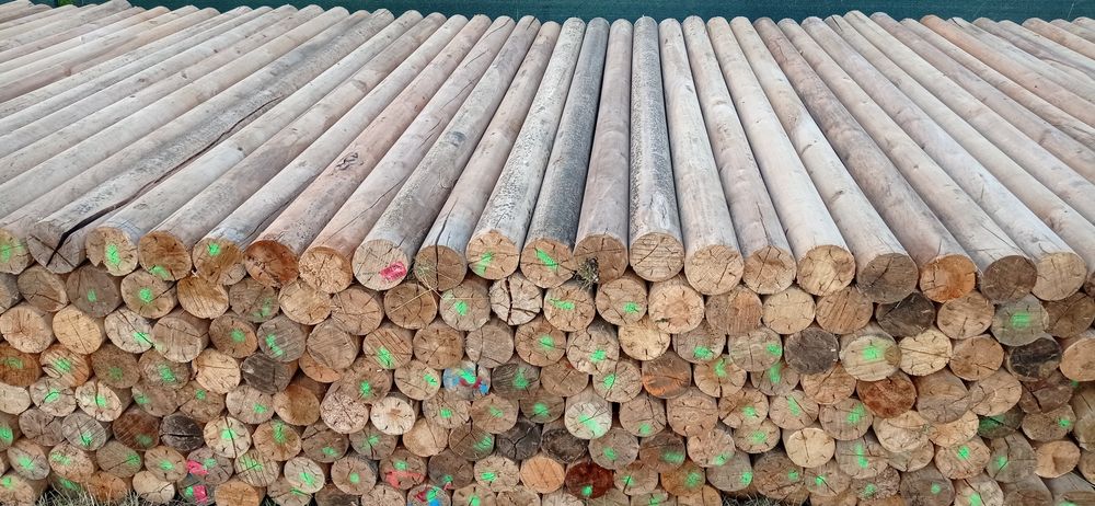 Słupki drewniane okrąglaki wałki palisady