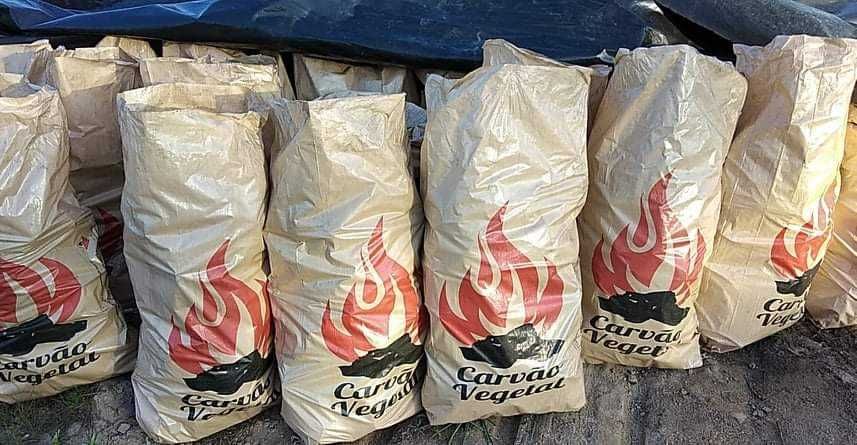 Carvao de sobro boaqualidade