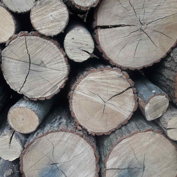 Продам дрова дубовые