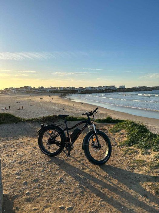 RadRhino Electric Fatbike 26x4 - Powerful Fat Tire Bike
