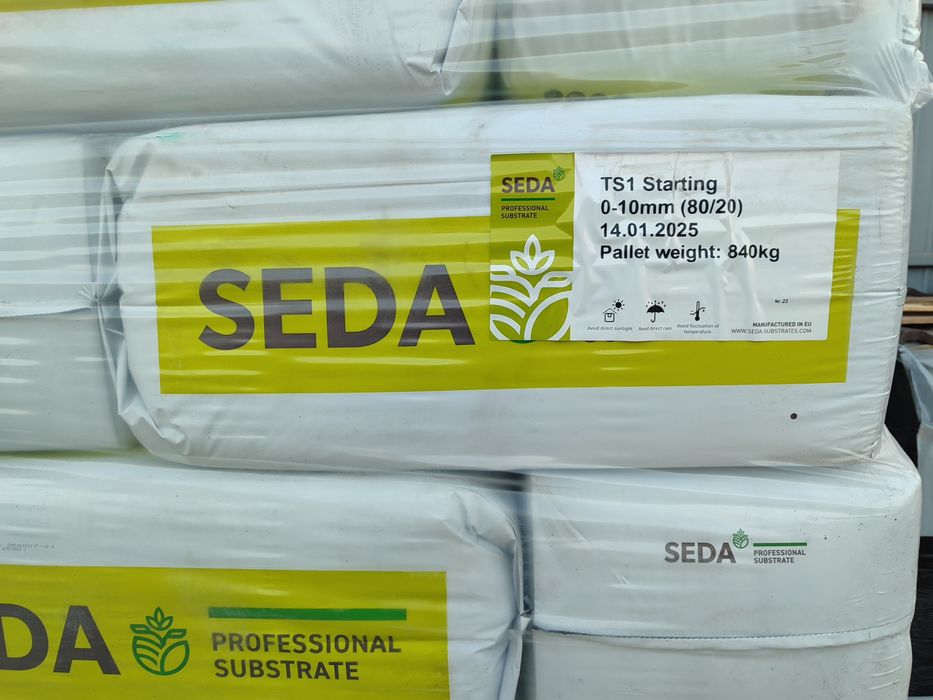 Орыс порно: бітіру кешінде блят