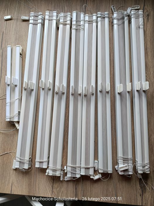 Plisy 9 szt za 250 zł