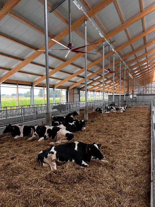 Wentylator do obory typu helikopter | mieszacz powietrza