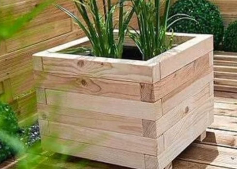 Decoração e jardim