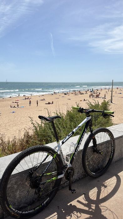 Cannoldale Carbono F29