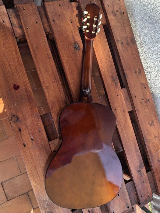 Viola com capa e palheta