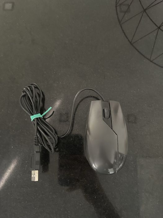 Rato  de escritório