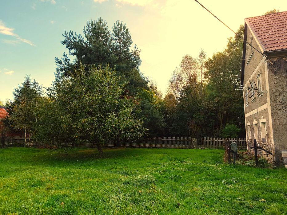 Dom – Siekierczyn - Widok 3