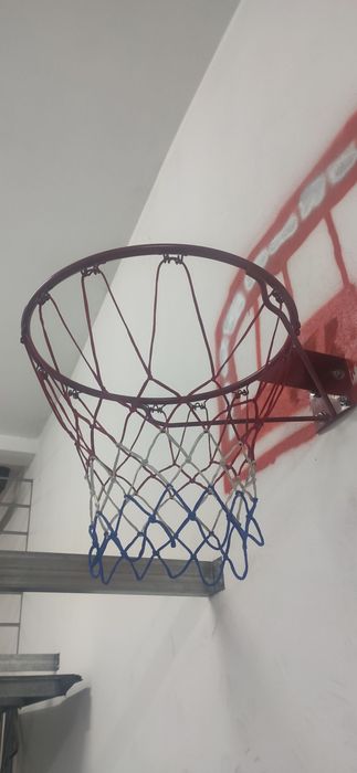 Cesto Basquetebol