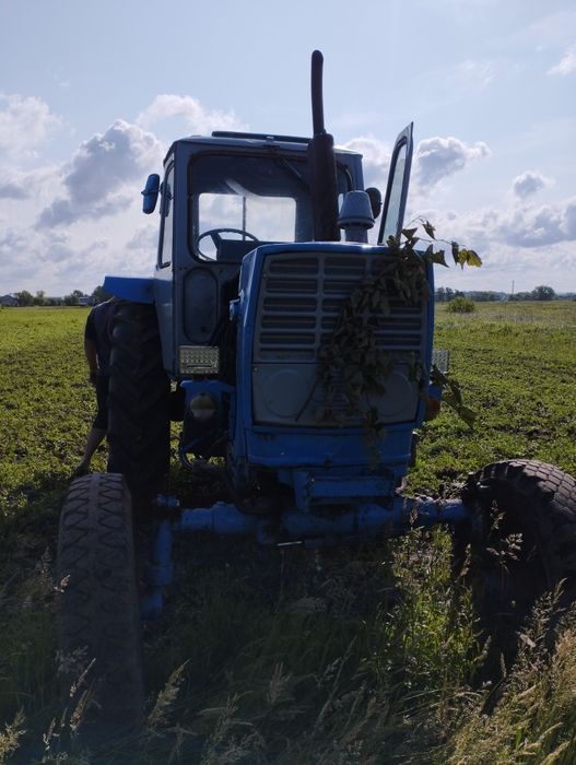 Продаю трактор ЮМЗ