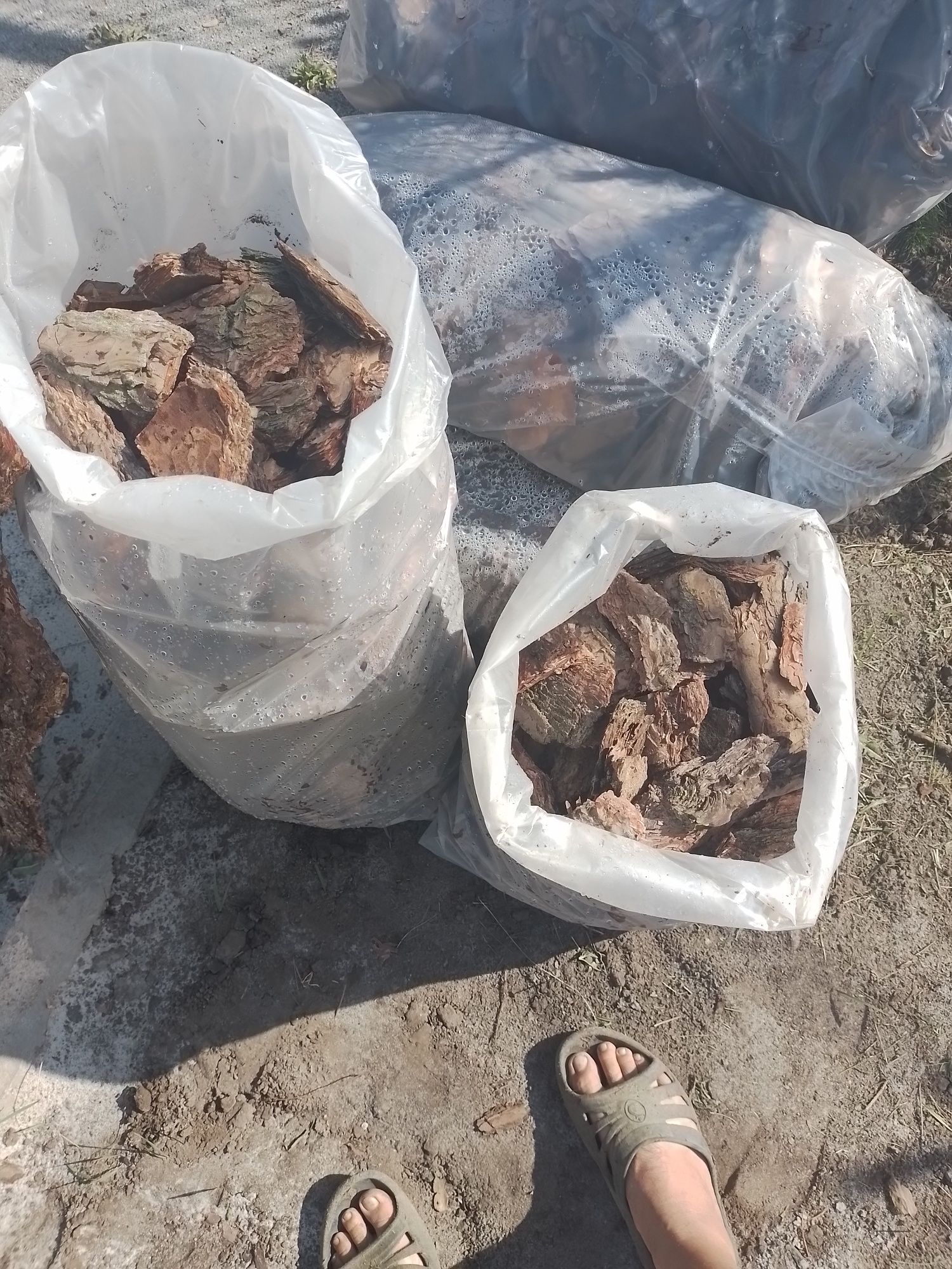 Кора сосновая крупная: 80 грн. - Сад / огород Днепр на Olx