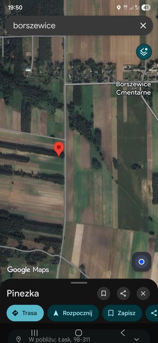 Dzialka leśna borszewice