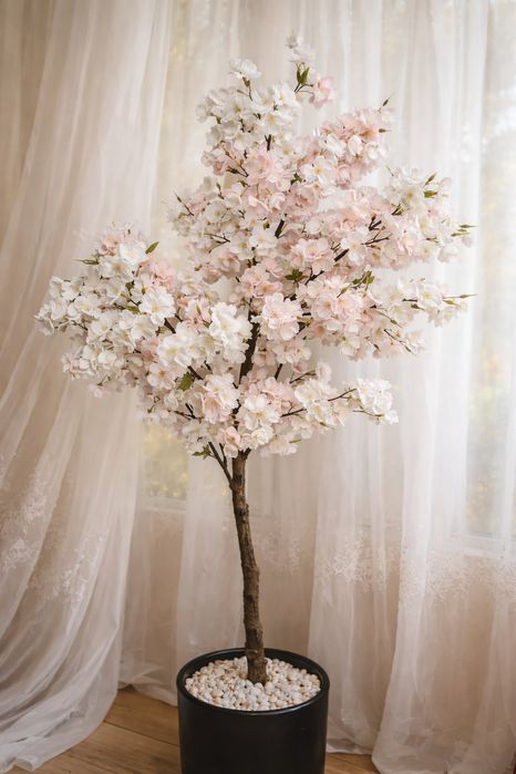 Drzewa sztucznej wiśni japońskiej