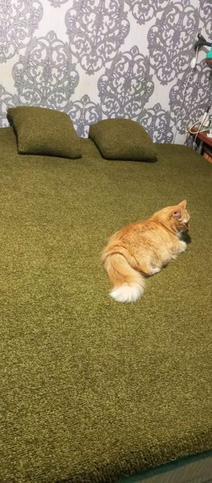 Плед і подушечки ручної роботи