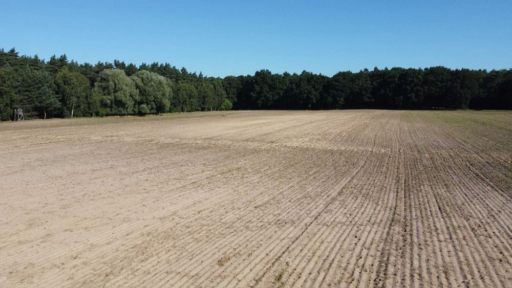 Działka 650 m² z warunkami zabudowy – Jaroszewo Pierwsze - Więcej