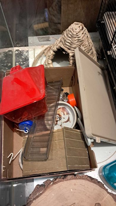 Akwarium terrarium - zestaw do hodowli