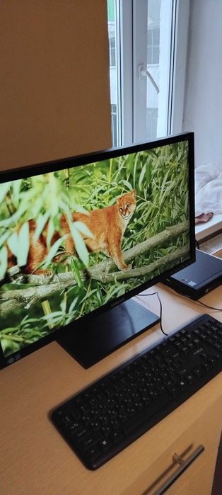 Монитор  Samsung  S24E450