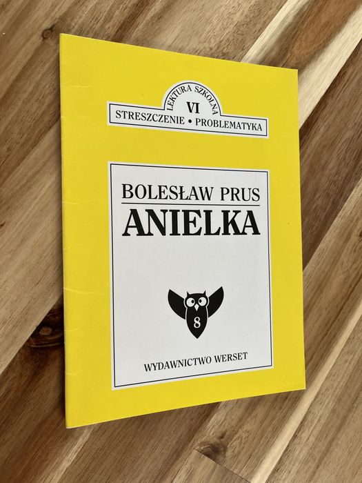 Anielka Bolesław Prus Streszczenie Problematyka