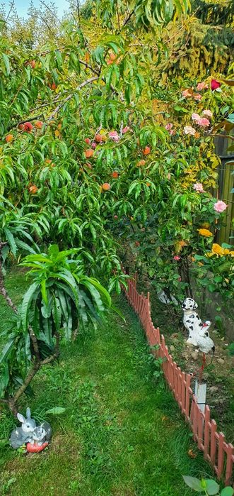 Продаж будинку, 5  хвилин до центру