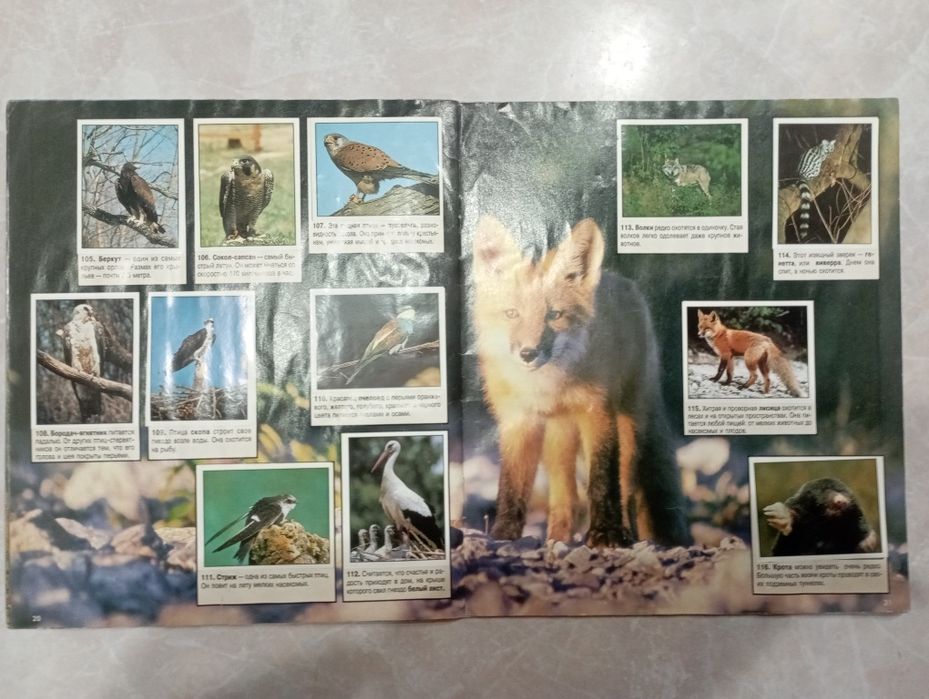 Мир животных panini