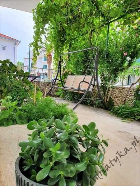 50 m do plaży Chorwacja Drvenik Apartamenty Nocleg Dom Kwatery Wakacje