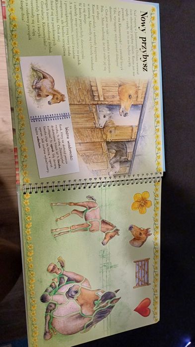 Książka Konie i Kucyki