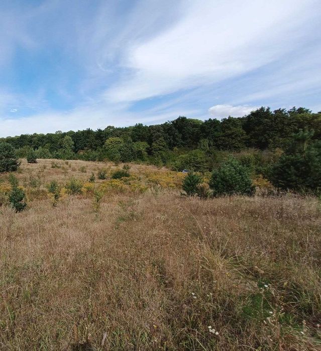 Земельна ділянка в с.Порозове